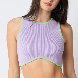 Olivaceous Purple and Green Crop Top